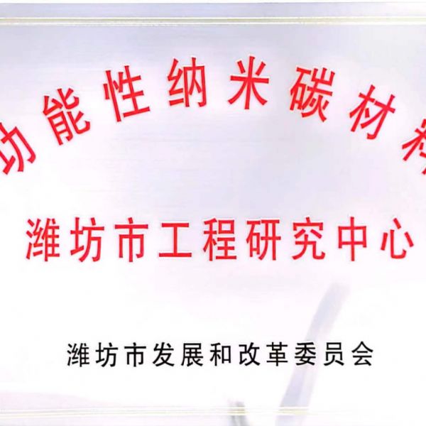 功能性纳米碳材料